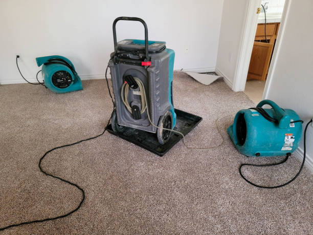 Best Flood restoration services  in La Verne, CA